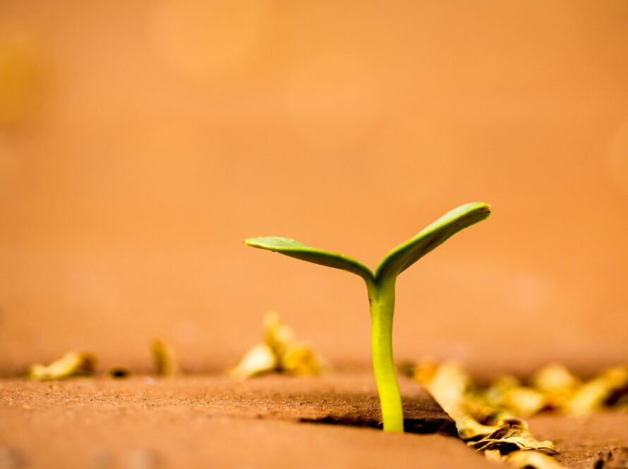 Professional Growth